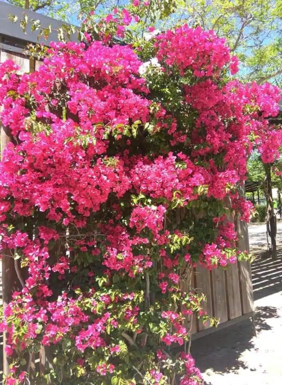 Apartamento De 3 Dormitorios Cambrils Esterno foto